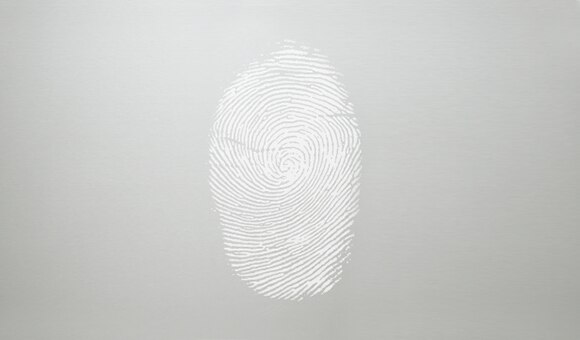 Fingerprint resistant stainless steel