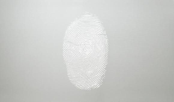 Fingerprint resistant stainless steel