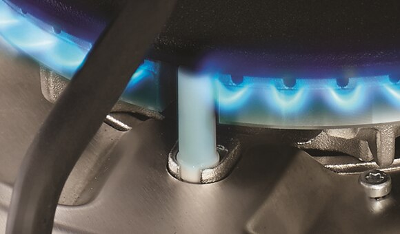 FamilySafe Flame Failure Device