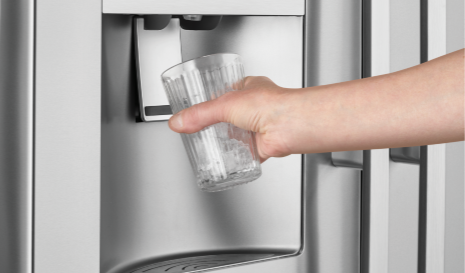 Filtered Ice and Water Dispenser