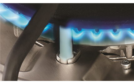 FamilySafe Flame Failure Device